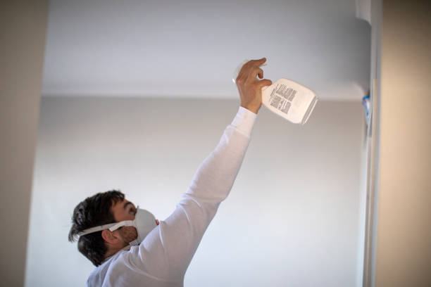 Meraux, LA Mold Remediation Company