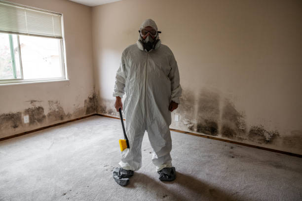 Best Mold Testing and Inspection Services in Meraux, LA